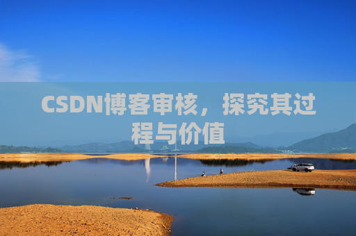 CSDN博客审核,探究其过程与价值