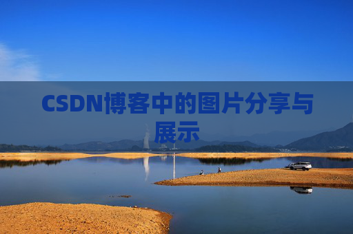 CSDN博客中的图片分享与展示